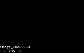 Net Nanny Reports